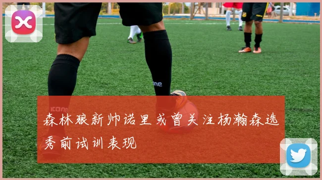 森林狼新帅诺里或曾关注杨瀚森选秀前试训表现