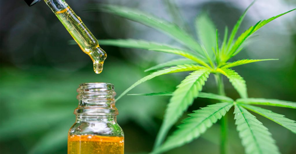 Riesgos de consumir CBD ¿es seguro y efectivo?