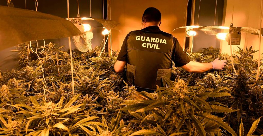 ¿Es legal el CBD en España y Europa?